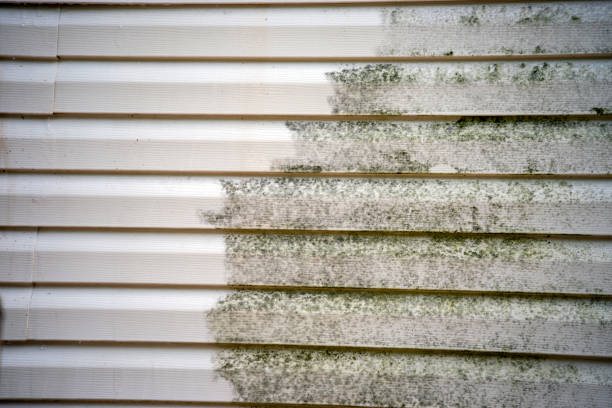 Best Engineered Wood Siding  in Lyons, WI